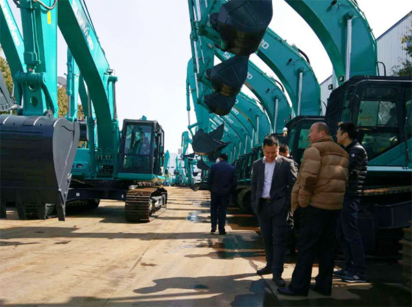 快來看，快來看，這里有一群綠精靈