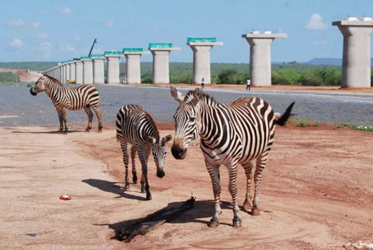 肯尼亞總統(tǒng)高度贊賞，乞力馬扎羅山下山河綠閃耀