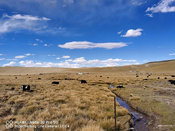 心系山河情，追夢阿里行！