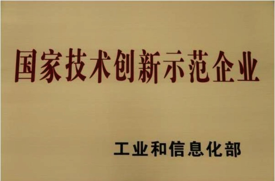 國家技術(shù)創(chuàng)新示范企業(yè)